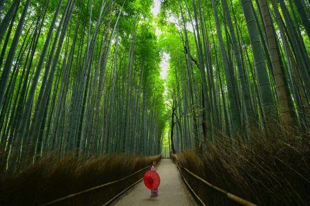 Now That We Are All Japanese, What Does The Future Hold?